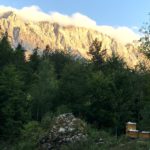 Grainauer Alpenhonig - Hier stehen unsere Bienenbeuten