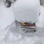 Grainauer Alpenhonig - Bienenbeute im Januar